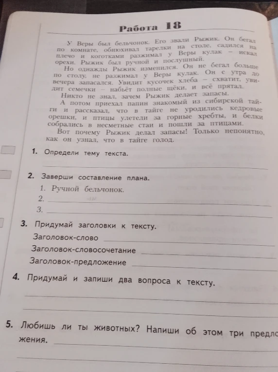 Работа 18. У Веры был бельчонок. Его звали Рыжик. Он бегал по комнате, обнюхивал тарелки на столе, садился на плечо и когтями разжимал у Веры кулак - искал орехи. Рыжик был ручной и послушный.