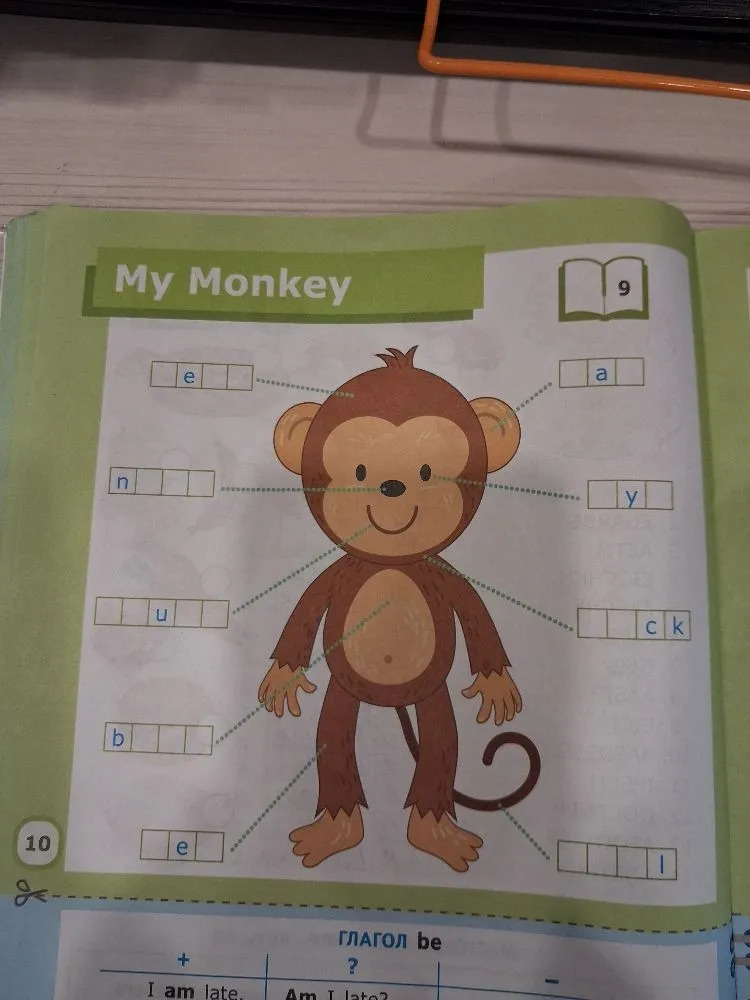 My Monkey