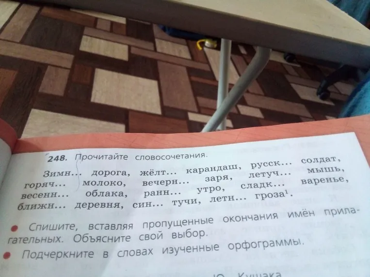 248. Прочитайте словосочетания. Зимн... дорога, жёлт... карандаш, русск... солдат, горяч... молоко, вечерн... заря, летуч... мышь, весенн... облака, ранн... утро, сладк... варенье, ближн... деревня, син... тучи, летн... гроза.