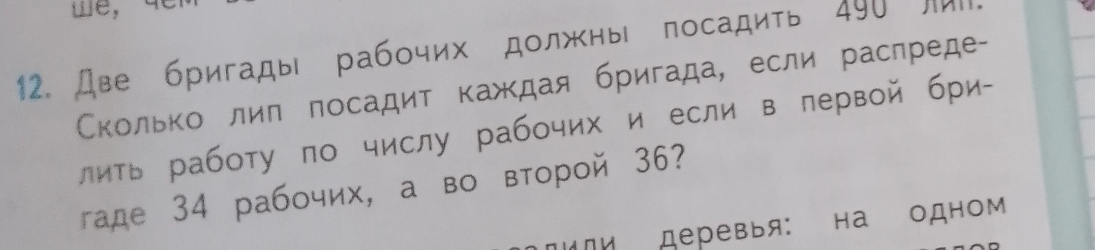 Две бригады рабочих должны посадить 490 лип. Сколько лип посадит каждая бригада, если распределить работу по числу рабочих и если в первой бригаде 34 рабочих, а во второй 36?