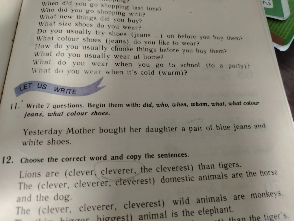 11. Write 7 questions. Begin them with: did, who, when, whom, what, what colour jeans, what colour shoes.