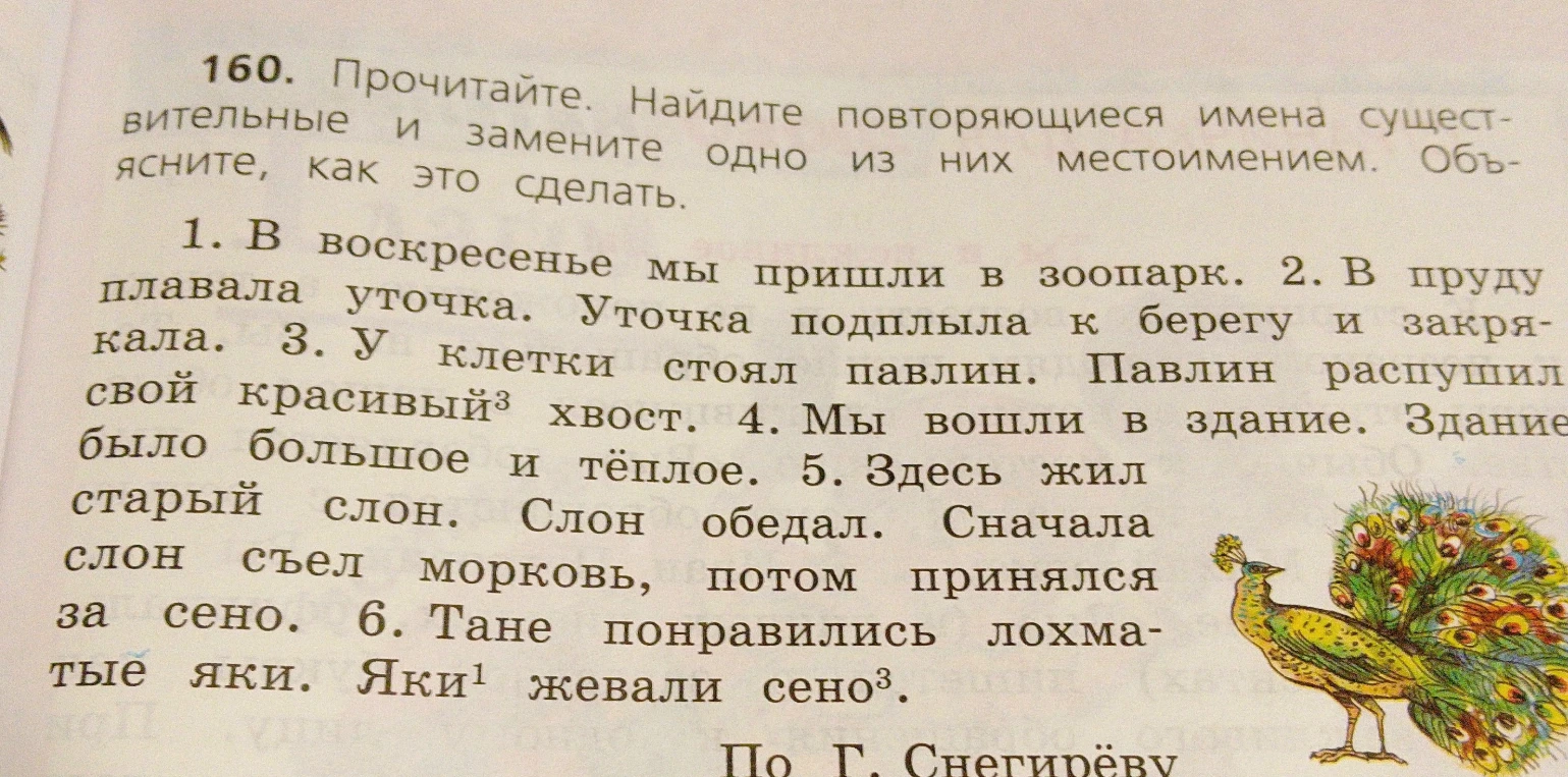 160. Прочитайте. Найдите повторяющиеся имена существительные и замените одно из них местоимением. Объясните, как это сделать.