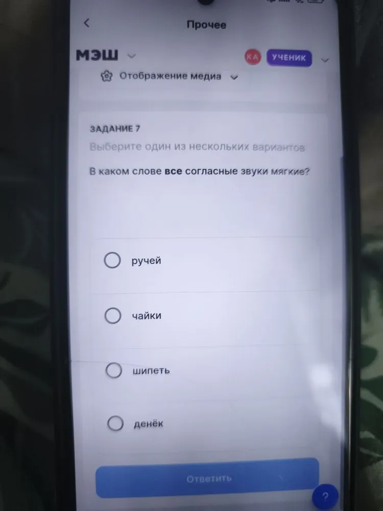 В каком слове все согласные звуки мягкие?