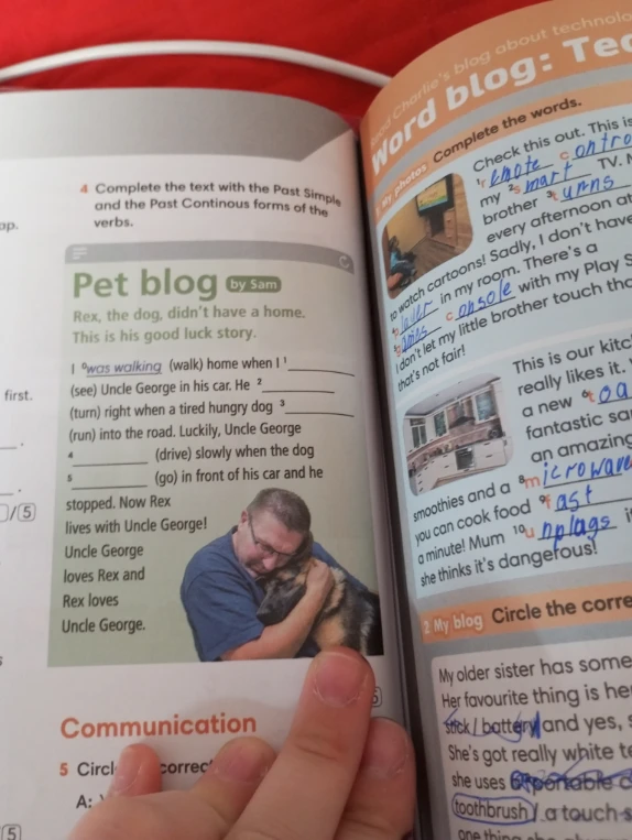 Complete the text with the Past Simple and the Past Continuous forms of the verbs.