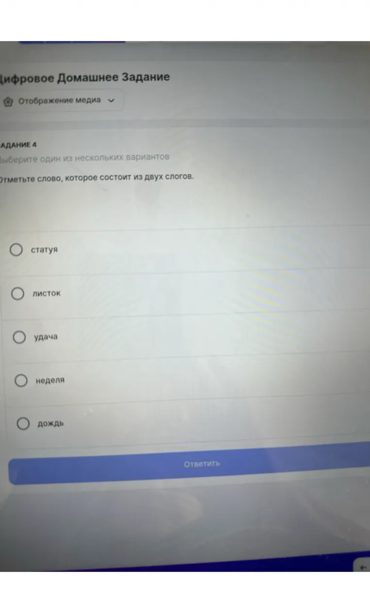 Отметьте слово, которое состоит из двух слогов.