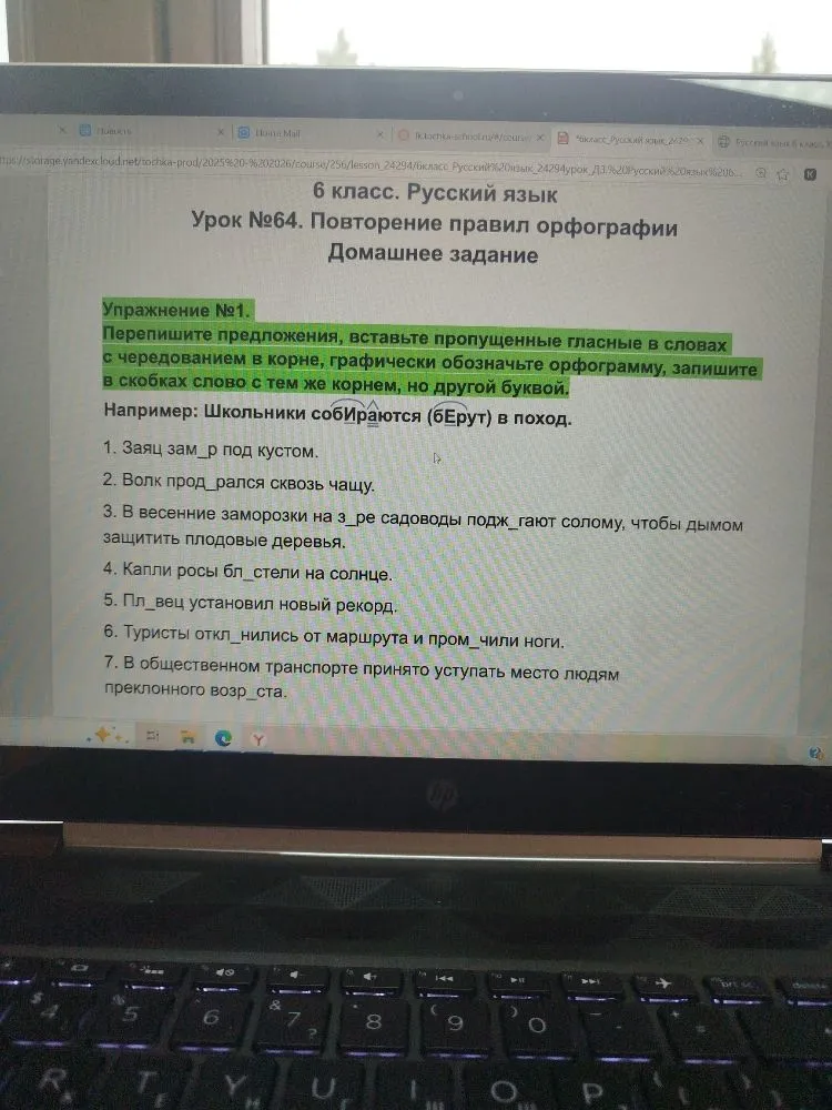 Перепишите предложения, вставьте пропущенные гласные в словах с чередованием в корне, графически обозначьте орфограмму, запишите в скобках слово с тем же корнем, но другой буквой.