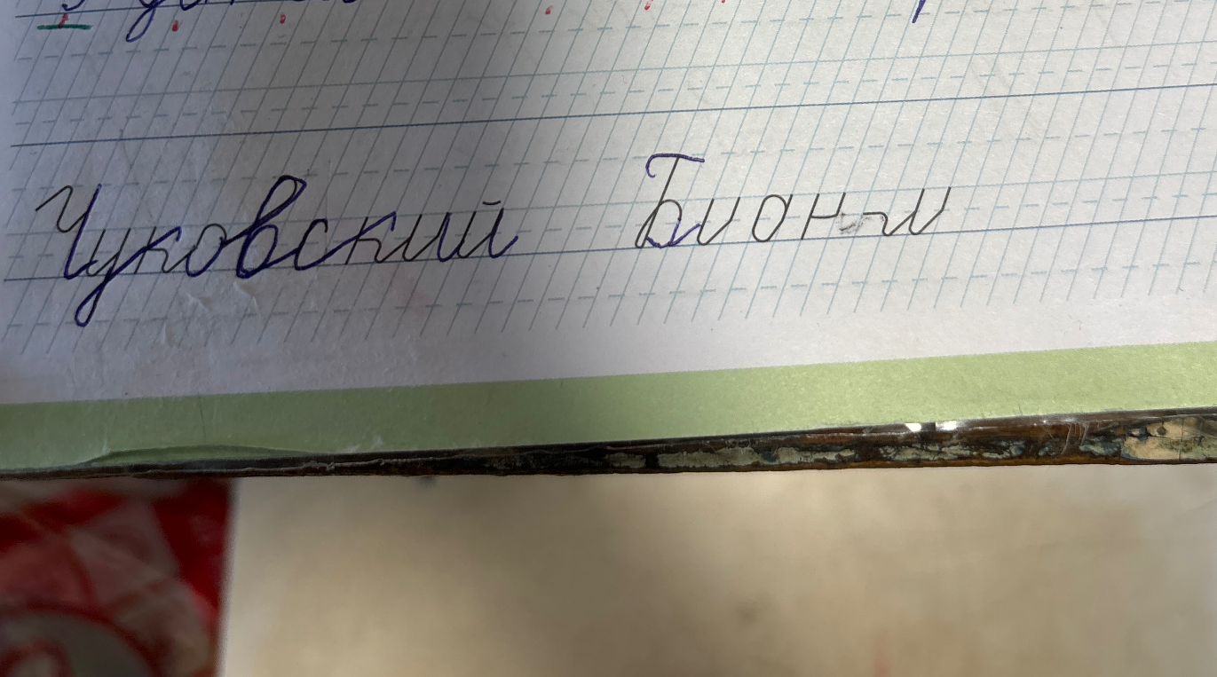 На фотографии написано: «Чуковский Биони».