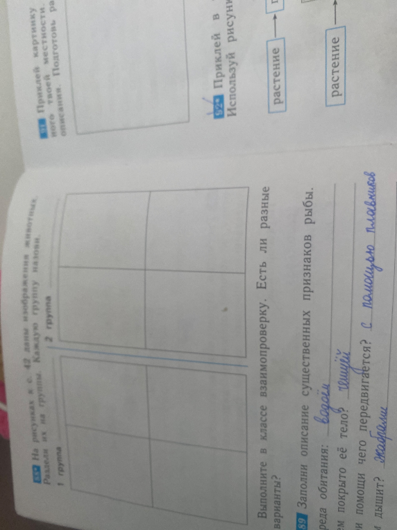 Заполни описание существенных признаков рыбы.