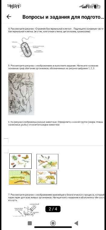 4. Рассмотрите рисунок «Строение бактериальной клетки». Подпишите основные части бактериальной клетки. (жгутик, клеточная стенка, цитоплазма, хромосома)