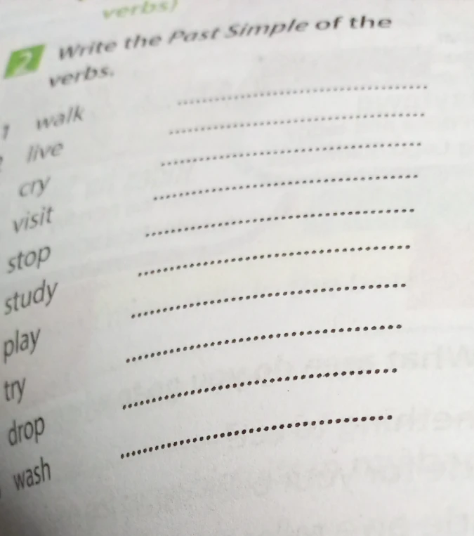 Write the Past Simple of the verbs.