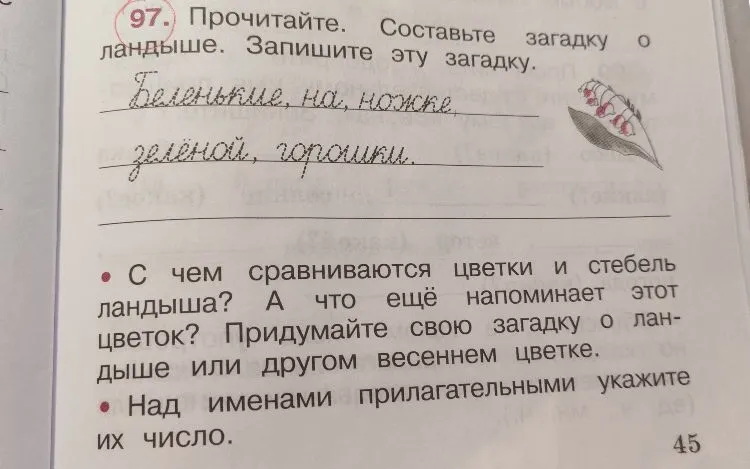 97. Прочитайте. Составьте загадку о ландыше. Запишите эту загадку.
