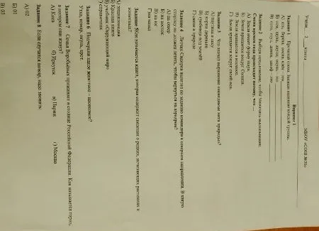Задание 1. Прочитай слова. Запиши название каждой группы.