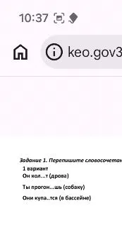 Задание 1. Перепишите словосочетан 1 вариант Он кол...т (дрова) Ты прогон...шь (собаку) Они купа..тся (в бассейне)