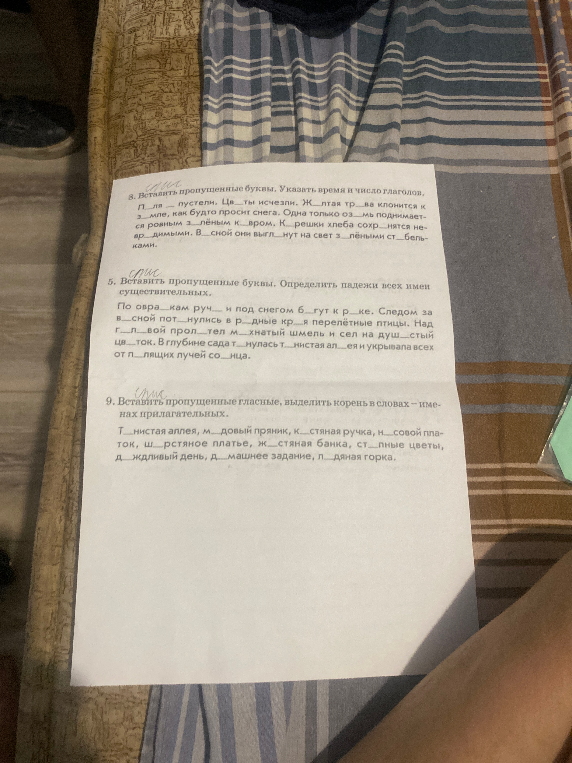 Вставить пропущенные буквы. Указать время и число глаголов.
