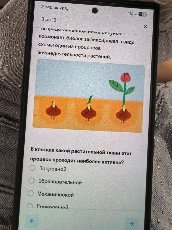 На представленном ниже рисунке космонавт-биолог зафиксировал в виде схемы один из процессов жизнедеятельности растений. В клетках какой растительной ткани этот процесс проходит наиболее активно?