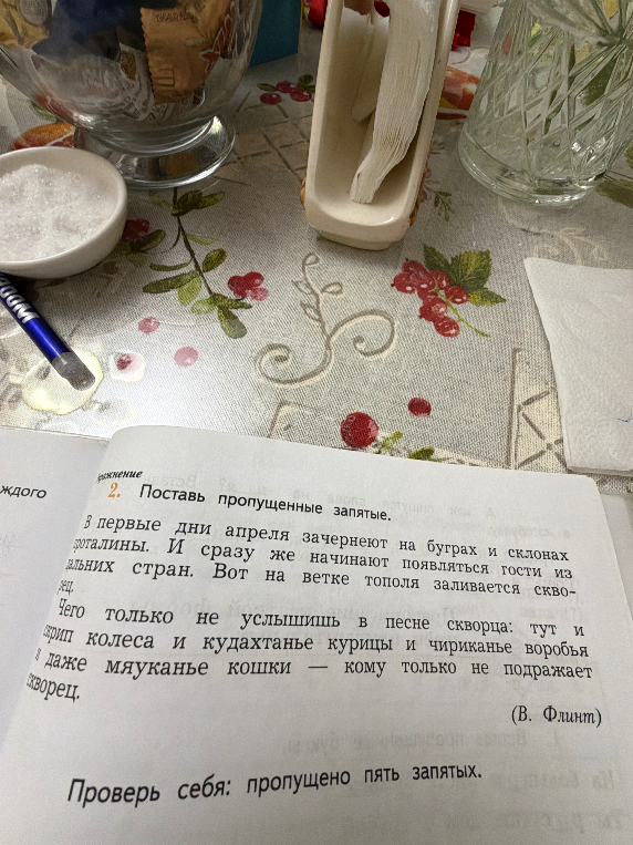 Поставь пропущенные запятые.