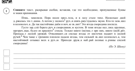 Спишите текст, раскрывая скобки, вставляя, где это необходимо, пропущенные буквы и знаки препинания.