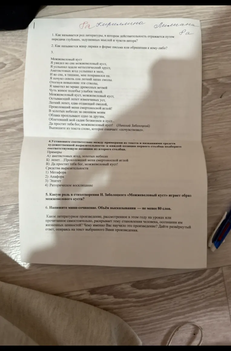 1. Как называется род литературы, в котором действительность отражается путем передачи глубоких, задушевных мыслей и чувств автора?