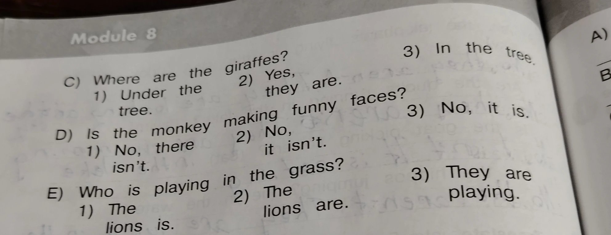C) Where are the giraffes?