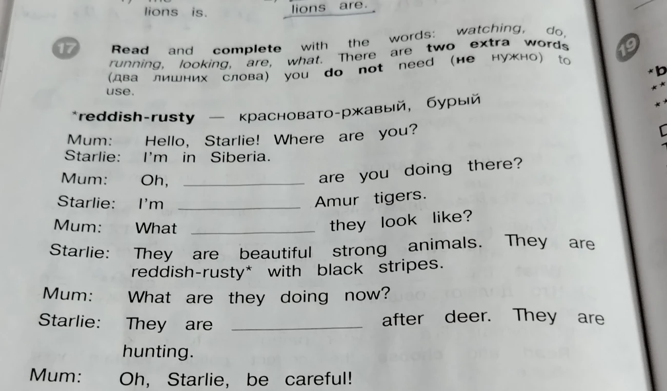 Read and complete with the words: watching, do, running, looking, are, what.