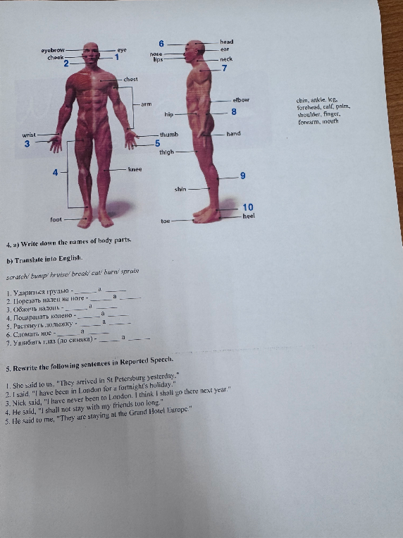 4. a) Write down the names of body parts.