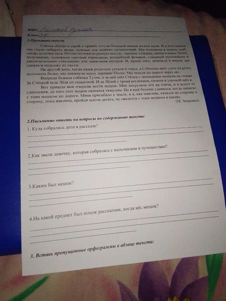 Письменно ответь на вопросы по содержанию текста: 1. Куда собрались дети в рассказе?