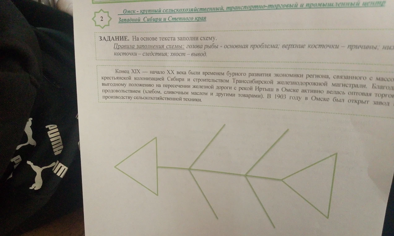 ЗАДАНИЕ. На основе текста заполни схему.