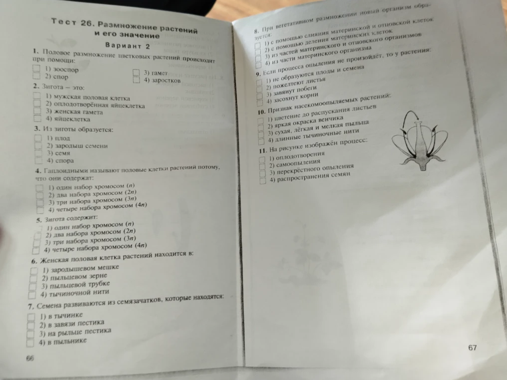 Тест 26. Размножение растений и его значение