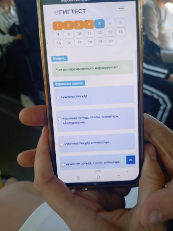 Что из перечисленного маркируется?