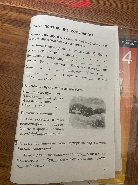 Вставьте пропущенные буквы. В скобках укажите лицо, число и падеж выделенных местоимений.
