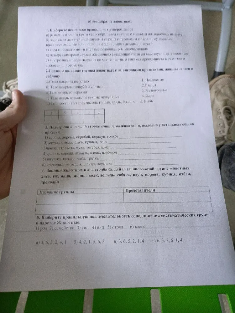 Многообразие животных. 1. Выберите несколько правильных утверждений: