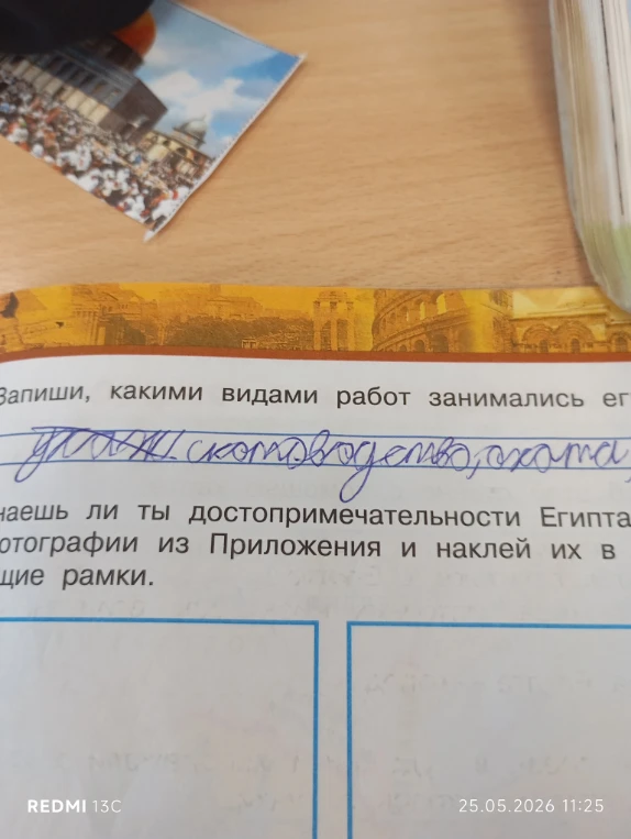 Запиши, какими видами работ занимались египтяне.