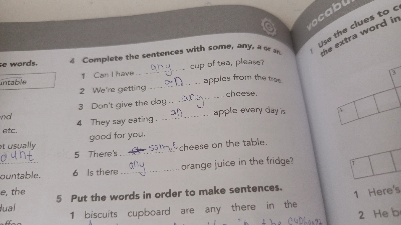 Complete the sentences with some, any, a or an.