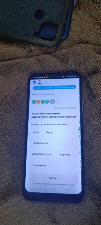 Какие организмы являются разрушителями органического вещества?