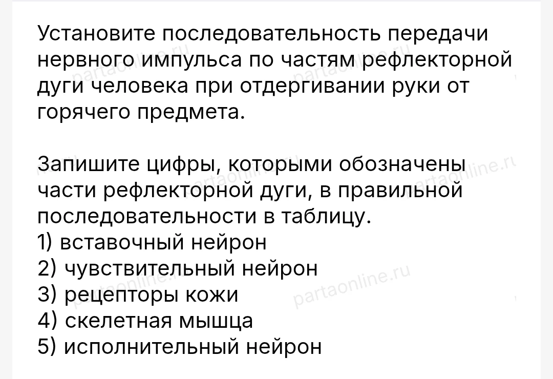 Установите последовательность передачи нервного импульса по частям рефлекторной дуги человека при отдергивании руки от горячего предмета.