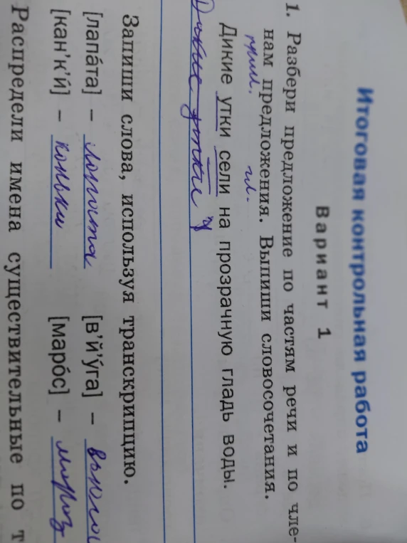 Разбери предложение по частям речи и по членам предложения. Выпиши словосочетания. Дикие утки сели на прозрачную гладь воды.