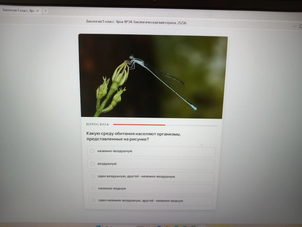 Какую среду обитания населяют организмы, представленные на рисунке?
