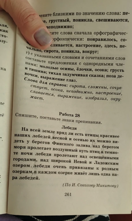 Работа 28. Спишите, поставьте знаки препинания.