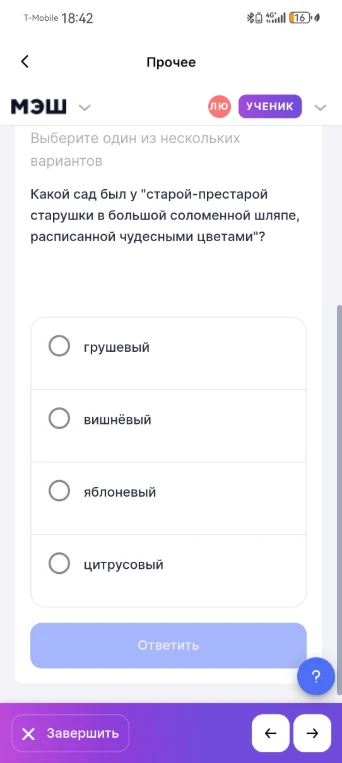 Какой сад был у "старой-престарой старушки в большой соломенной шляпе, расписанной чудесными цветами"?