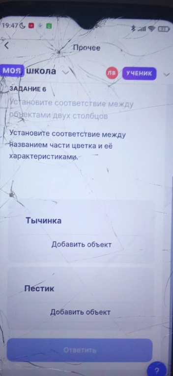 Установите соответствие между названием части цветка и её характеристиками.
