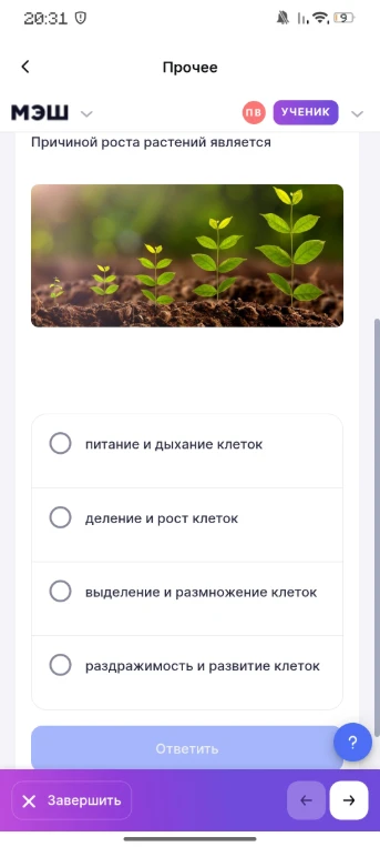 Причиной роста растений является