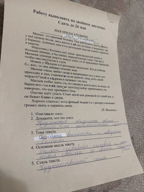 Малыш это красивая болонка. Она небольшого роста, шерсть у неё снежно-белая, завивается и висит на боках и мордочке, как у барашка. Длинные уши и коротенький хвостик совсем теряются в шерсти.