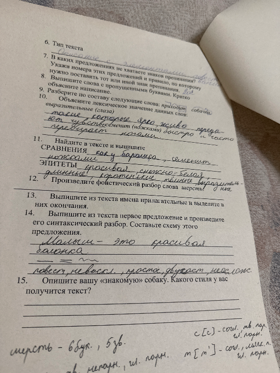 12. Произведите фонетический разбор слова шерсть!