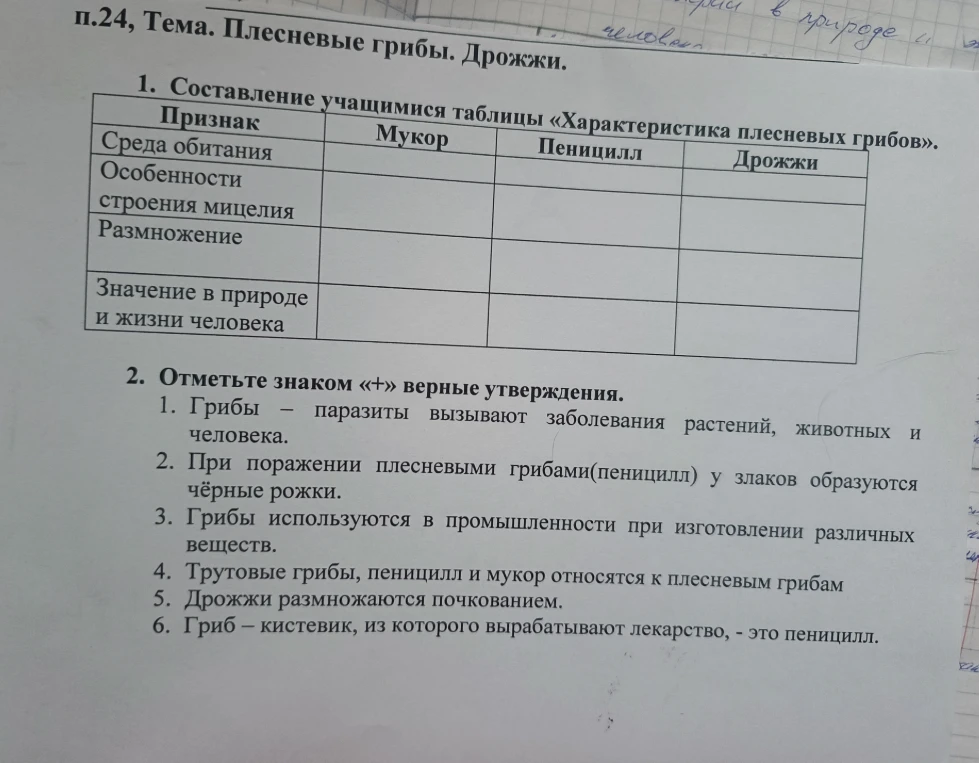 1. Составление учащимися таблицы «Характеристика плесневых грибов».