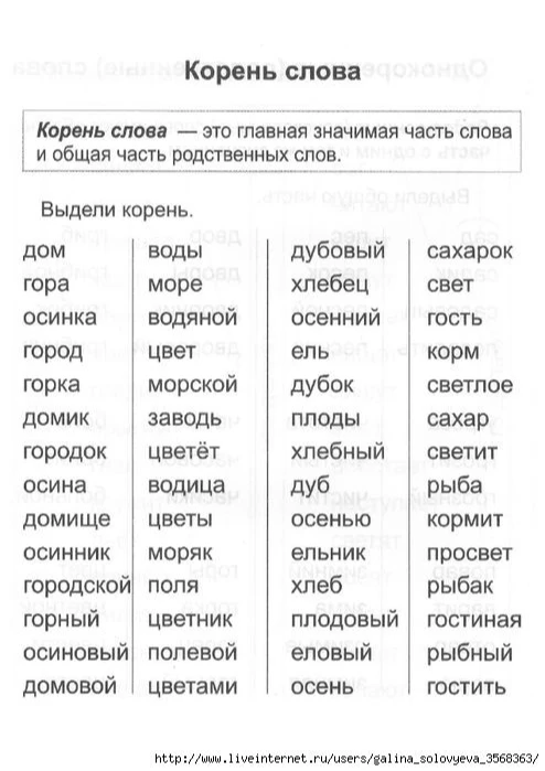 Корень слова — это главная значимая часть слова и общая часть родственных слов. Выдели корень.