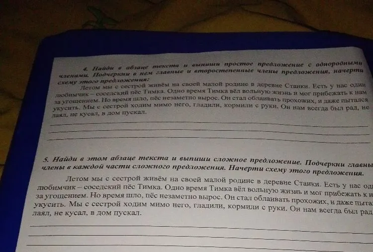4. Найди в абзаце текста и выпиши простое предложение с однородными членами. Подчеркни в нем главные и второстепенные члены предложения, начерти схему этого предложения: