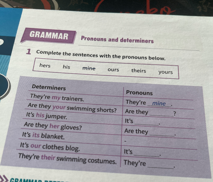 Complete the sentences with the pronouns below.