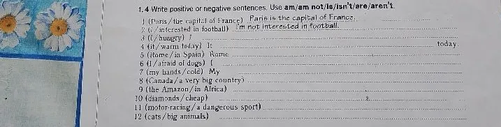 1.4 Write positive or negative sentences. Use am/am not/is/isn't/are/aren't.