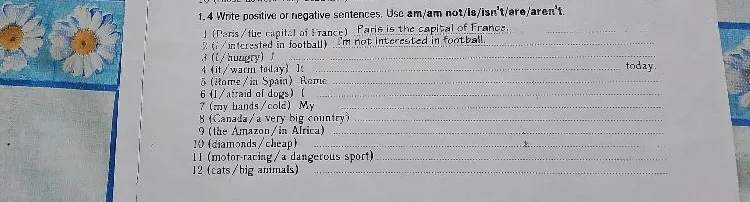 1.4 Write positive or negative sentences. Use am/am not/is/isn't/are/aren't.