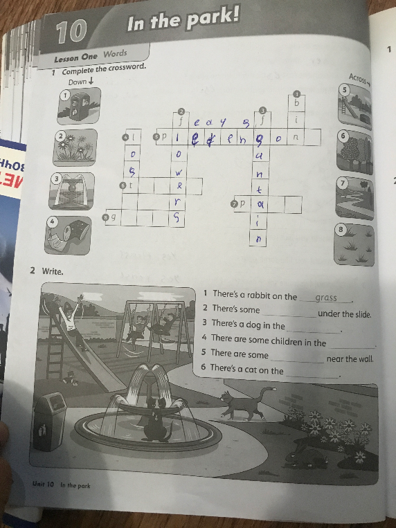1 Complete the crossword.